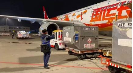 上传的文章图片